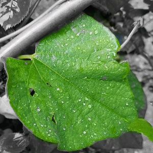 Meet your Posher, Meg